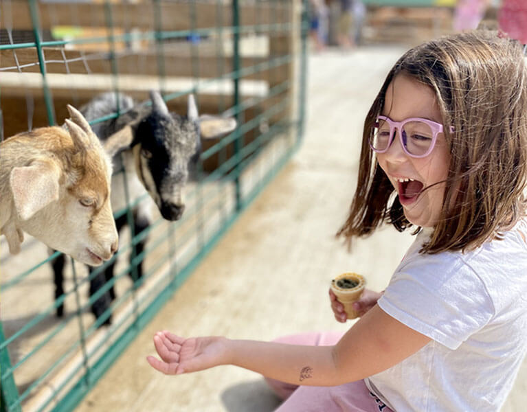 Photo Contest at Downey's Farm Market.